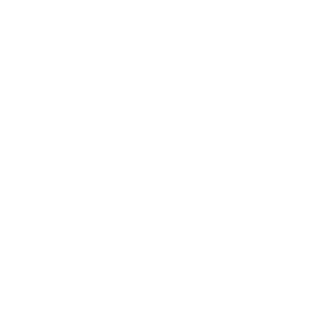 WordPress Developer Watts Web Studio Logo